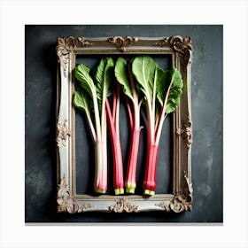 Rhubarb 54 Canvas Print