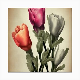 Three Tulips Canvas Print