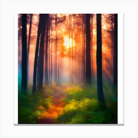 Sunrise In The Forest 1 Canvas Print