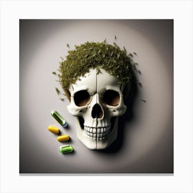 Skull With Pills And Grass Canvas Print