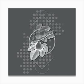 Vintage Fig Botanical with Line Motif and Dot Pattern in Ghost Gray n.0151 Canvas Print