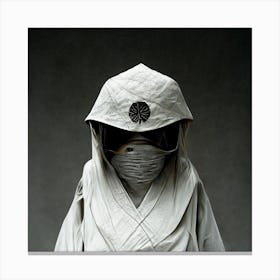 Ninja 1 Canvas Print