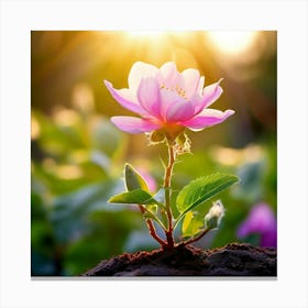 Pink Rose In The Garden Canvas Print