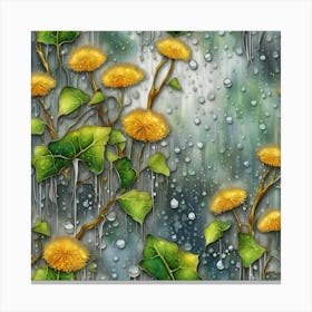 Raindrops On Dandelions Canvas Print