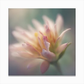 A Close Up Of A Delicategentle Petals Bud Just Beginning To Bloom, With Soft Petals And Hints Of Vib Canvas Print