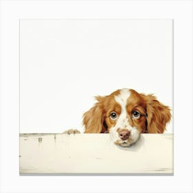 Setter Irish Red Canvas Print