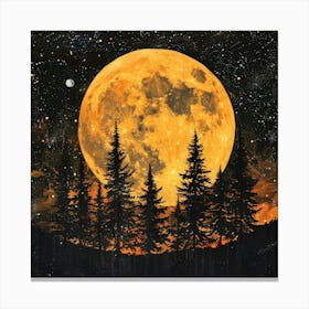 Full Moon 6 Canvas Print