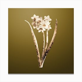 Gold Botanical Narcissus Easter Flower on Dune Yellow n.3750 Canvas Print