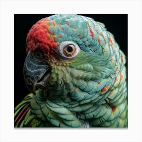 Parrot 23 Canvas Print