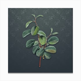 Vintage Alpine Buckthorn Plant Botanical on Slate Gray Pattern n.2401 Canvas Print