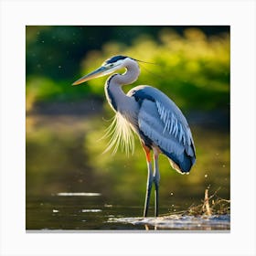 Great Blue Heron 2 Canvas Print
