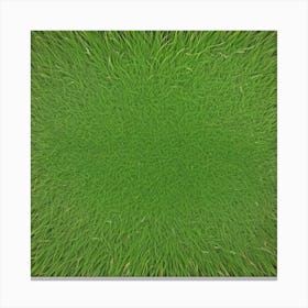 Grass Flat Surface For Background Use (98) Canvas Print