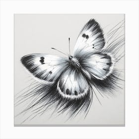 Butterfly Pencil Drawing Canvas Print