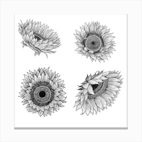 Sunflowers Square Canvas Print