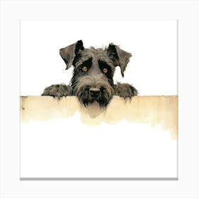 Schnauzer 16 Canvas Print