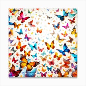 Colorful Butterflies 1 Canvas Print