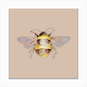 Pink Bumble Bee Canvas Print