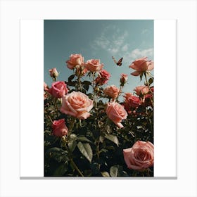 Pink Roses Canvas Print