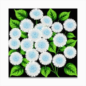 Chrysanthemums 20 Canvas Print