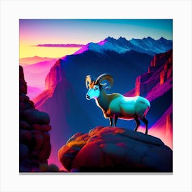 BIG HORN SHEEP ON A LEDGE Canvas Print