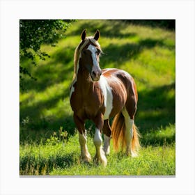 horse background Canvas Print