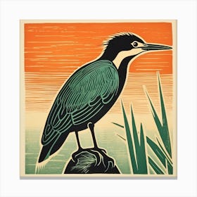 Retro Bird Lithograph Green Heron 4 Canvas Print