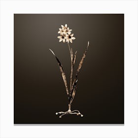 Gold Botanical Ixia Fusco Citrina on Chocolate Brown Canvas Print