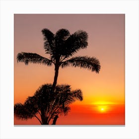 Sunset With Palm Trees Canvas Print