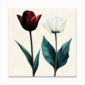 Two Tulips 1 Canvas Print