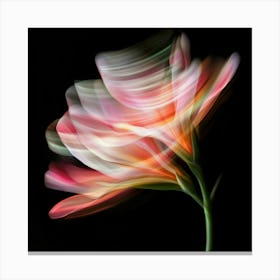 Lily Of The Valley 4 Canvas Print