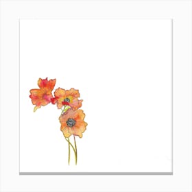 Flowers Canvas Print