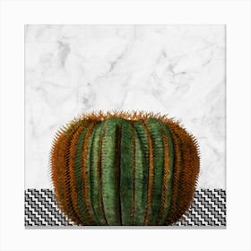 Cactus Ball on White Marble and Zigzag Wall Canvas Print