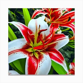 Lily Stock Videos & Royalty-Free Footage Canvas Print