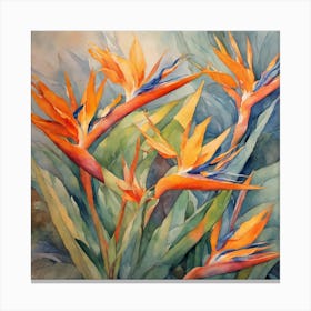 Bird Of Paradise Canvas Print