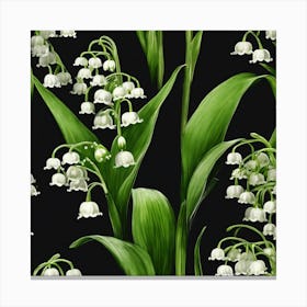 Rustic May Birth Flower Lily Of The Valley Black Green 2 Canvas Print