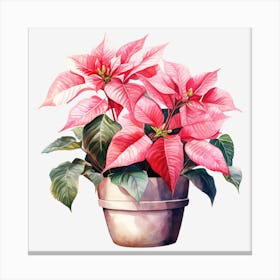 Poinsettia 29 Canvas Print