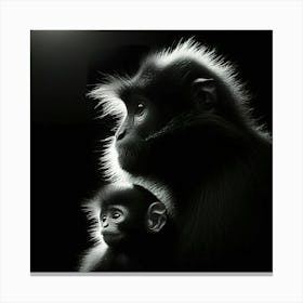 Black And White Monkeys Canvas Print