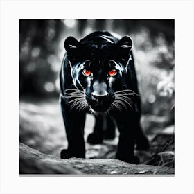 Black Panther 1 Canvas Print
