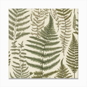 Fern Leaves Canvas Print