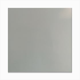 "White alloy" refers to a type of metal that is typically a mixture of two or more metals. "Metal theme gradient" likely means a colour gradient that is inspired by metallic textures and shades. Canvas Print
