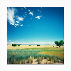 Landscape - Stock Videos & Royalty-Free Footage Canvas Print