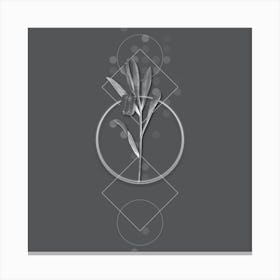 Vintage Fritillaria Latifolia Botanical with Line Motif and Dot Pattern in Ghost Gray n.0048 Canvas Print