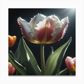 Tulips 2 Canvas Print