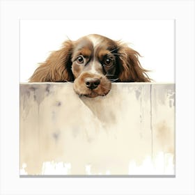 Spaniel English Cocker 3 Canvas Print