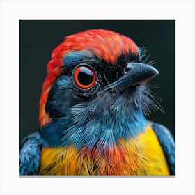 Colorful Bird 17 Canvas Print