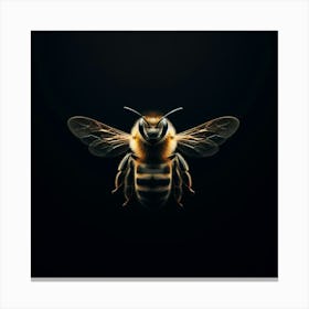 Bee Stock Videos & Royalty-Free Footage Canvas Print