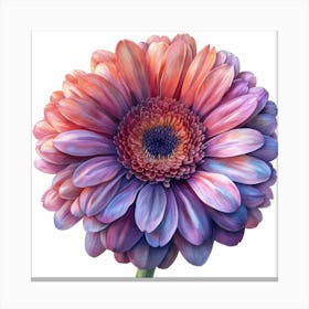 Gerbera 1 Toile