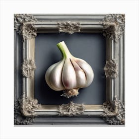 Garlic In A Frame Canvas Print