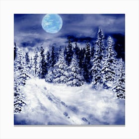 Snowy Night Canvas Print