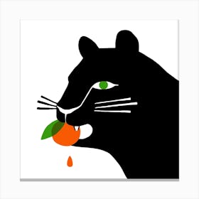 Big Cat Eating An Orange Square Canvas Print